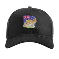 Pro Twill Snapback Thumbnail