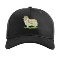 Pro Twill Snapback Thumbnail
