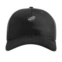 Pro Twill Snapback Thumbnail