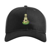 Pro Twill Snapback Thumbnail