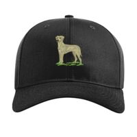 Pro Twill Snapback Thumbnail