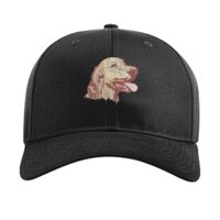 Pro Twill Snapback Thumbnail