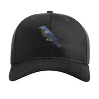 Pro Twill Snapback Thumbnail