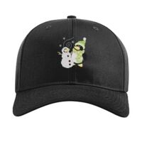 Pro Twill Snapback Thumbnail