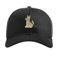 Pro Twill Snapback Thumbnail