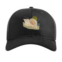 Pro Twill Snapback Thumbnail