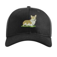 Pro Twill Snapback Thumbnail