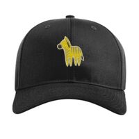 Pro Twill Snapback Thumbnail