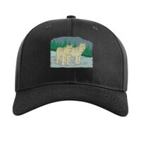 Pro Twill Snapback Thumbnail