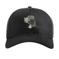 Pro Twill Snapback Thumbnail