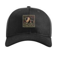 Pro Twill Snapback Thumbnail