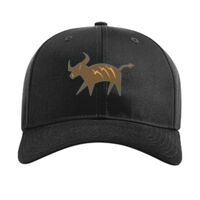 Pro Twill Snapback Thumbnail