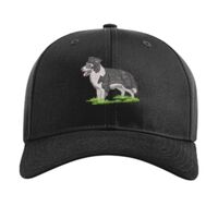 Pro Twill Snapback Thumbnail