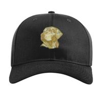Pro Twill Snapback Thumbnail