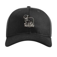 Pro Twill Snapback Thumbnail