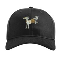 Pro Twill Snapback Thumbnail