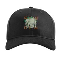 Pro Twill Snapback Thumbnail