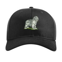 Pro Twill Snapback Thumbnail
