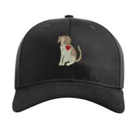 Pro Twill Snapback Thumbnail