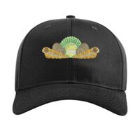 Pro Twill Snapback Thumbnail