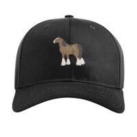 Pro Twill Snapback Thumbnail