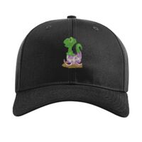 Pro Twill Snapback Thumbnail