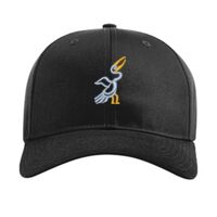 Pro Twill Snapback Thumbnail