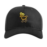 Pro Twill Snapback Thumbnail