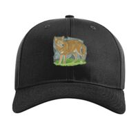 Pro Twill Snapback Thumbnail