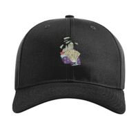 Pro Twill Snapback Thumbnail
