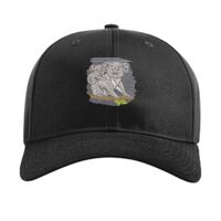Pro Twill Snapback Thumbnail