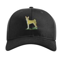 Pro Twill Snapback Thumbnail
