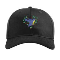 Pro Twill Snapback Thumbnail