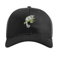 Pro Twill Snapback Thumbnail