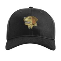 Pro Twill Snapback Thumbnail
