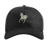 Pro Twill Snapback Thumbnail