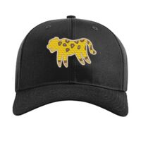 Pro Twill Snapback Thumbnail