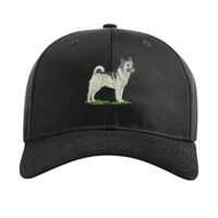 Pro Twill Snapback Thumbnail