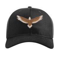 Pro Twill Snapback Thumbnail