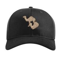 Pro Twill Snapback Thumbnail