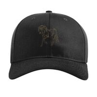 Pro Twill Snapback Thumbnail