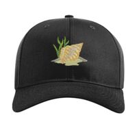 Pro Twill Snapback Thumbnail