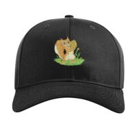 Pro Twill Snapback Thumbnail