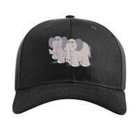 Pro Twill Snapback Thumbnail