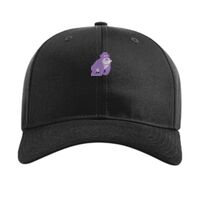 Pro Twill Snapback Thumbnail