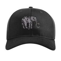 Pro Twill Snapback Thumbnail