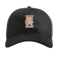 Pro Twill Snapback Thumbnail