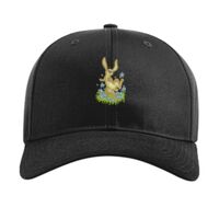 Pro Twill Snapback Thumbnail