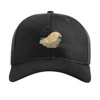 Pro Twill Snapback Thumbnail