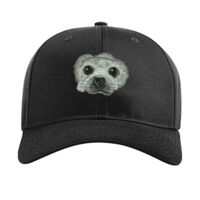 Pro Twill Snapback Thumbnail